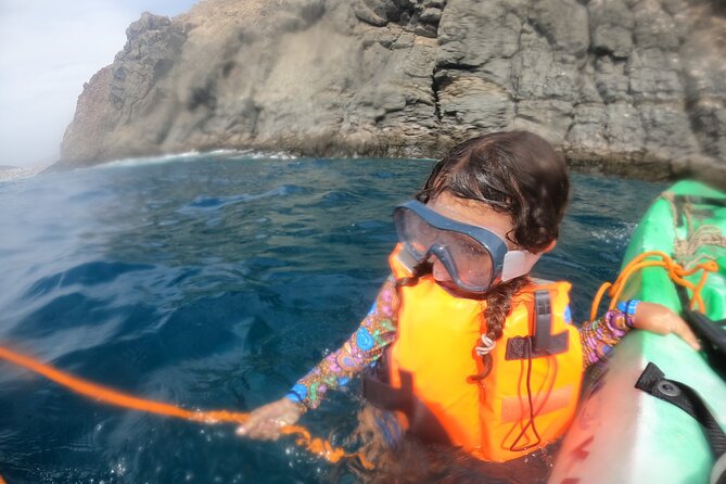 Tenerife: Kayak and snorkel with marine life safari - Families, beginners, and fitness