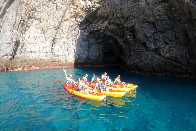 Tenerife: Kayak and snorkel with marine life safari - Timing, weather, and cancellations