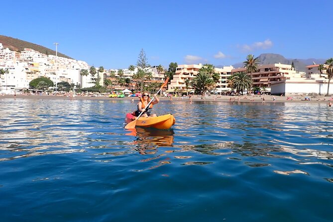 Tenerife: Kayak and snorkel with marine life safari - Is this Tenerife kayak trip worth booking?