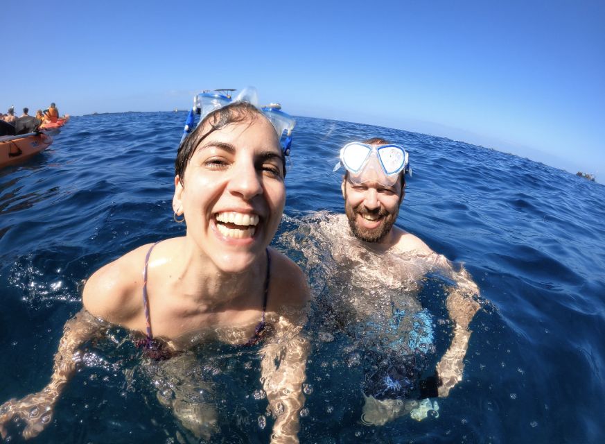 Tenerife: Kayak Safari and Snorkel in a Marine Reserve - Dolphin and turtle watching without a motorboat