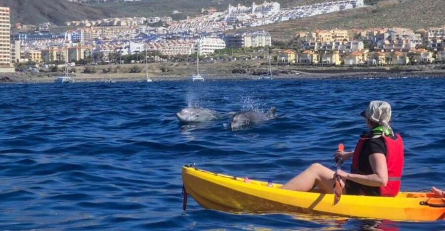 Tenerife: Kayak Safari and Snorkel in a Marine Reserve - What the first hour on the water feels like