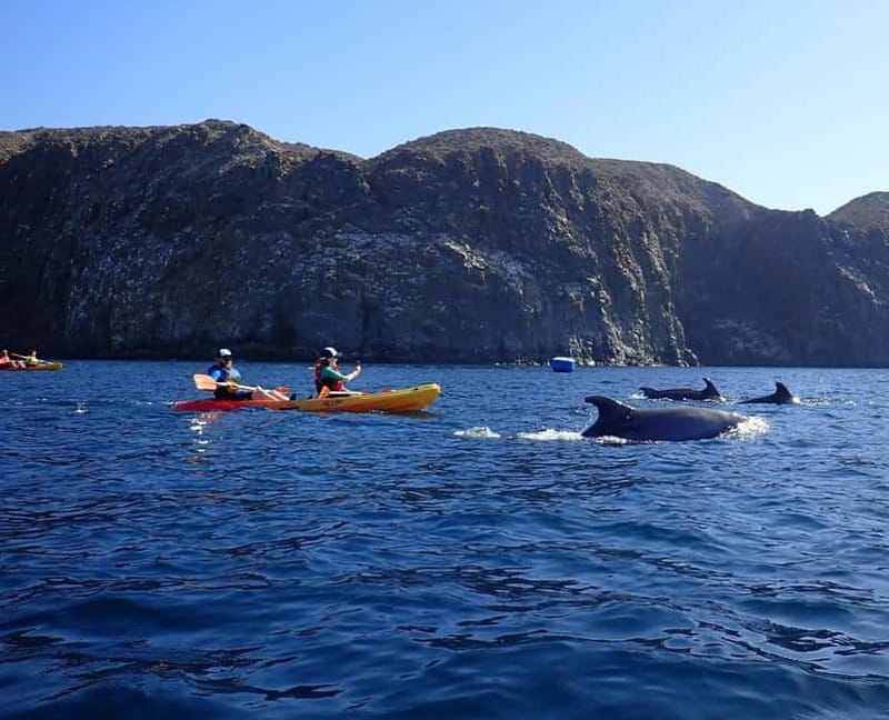 Tenerife: Kayak Sea Safari with Snorkel and Snacks - Starting at MANA KAYAK near Los Cristianos Beach