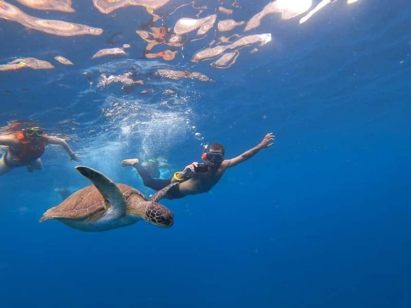 Tenerife: Kayak Sea Safari with Snorkel and Snacks - Lovers Cave and the cliff views