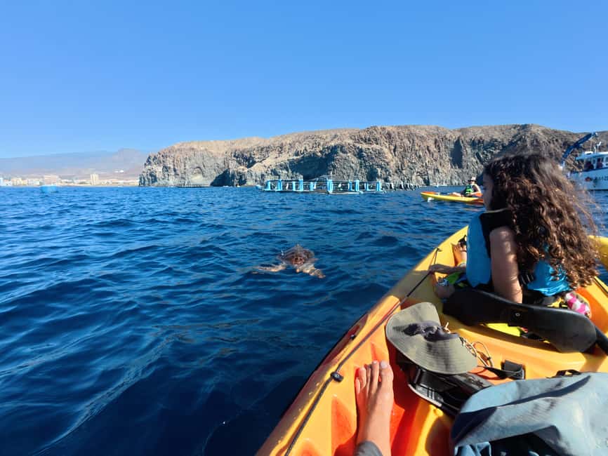 Tenerife: Kayak Sea Safari with Snorkel and Snacks - What the $41 price really covers
