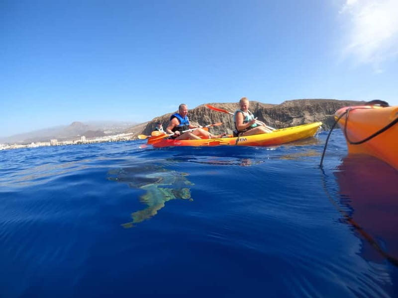 Tenerife: Kayak Sea Safari with Snorkel and Snacks - Picking the best time and preparing well
