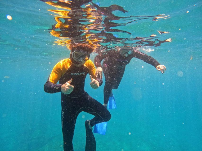 Tenerife: Puerto Colon Snorkel Safari by Speed Boat - A compact sea trip from Puerto Colón