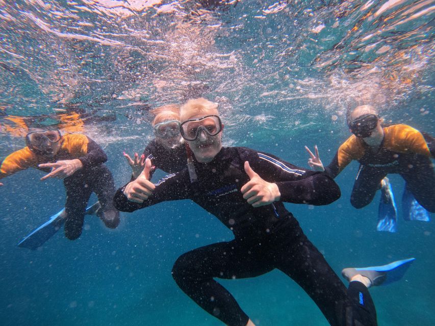 Tenerife: Puerto Colon Snorkel Safari by Speed Boat - Fifty minutes in the secluded bay