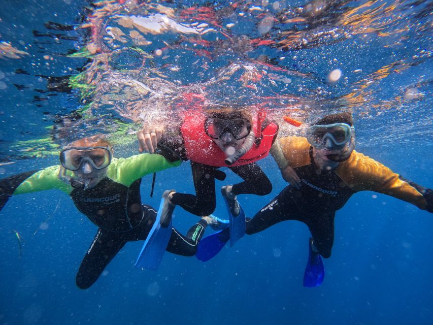 Tenerife: Puerto Colon Snorkel Safari by Speed Boat - What to bring and what to check