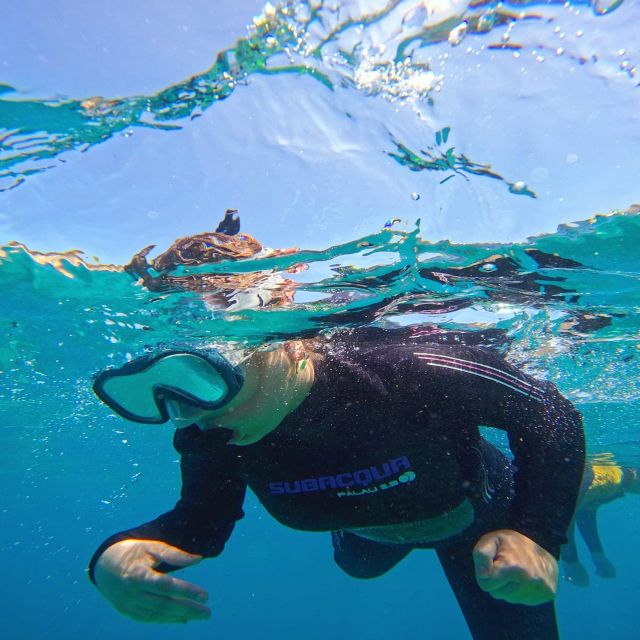 Tenerife: Puerto Colon Snorkel Safari by Speed Boat - My verdict on the Puerto Colón snorkel safari