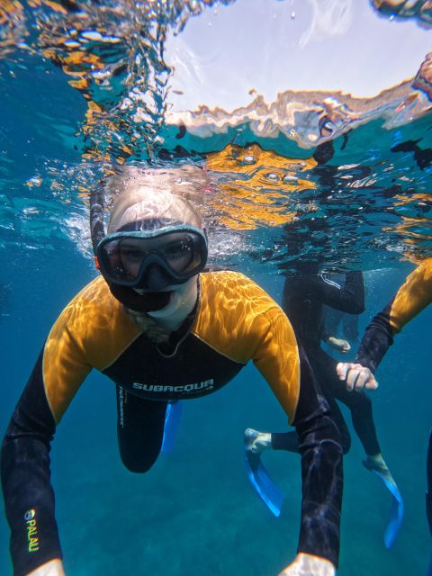 Tenerife: Puerto Colon Snorkel Safari by Speed Boat - FAQ