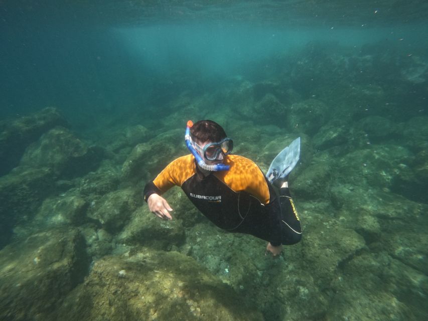 Tenerife: Puerto Colon Snorkel Safari by Speed Boat - The 15-minute run along Tenerife’s coast