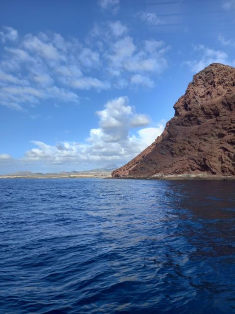 Tenerife south: safari with luxury boat , animals encounters - The swimming stop in a quiet bay