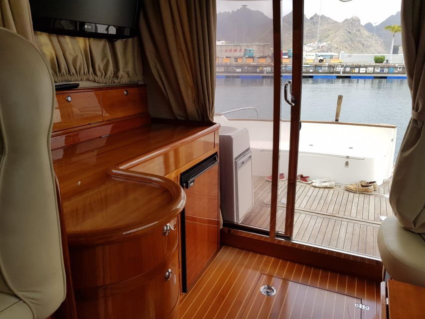 Tenerife south: safari with luxury boat , animals encounters - What $73 buys you