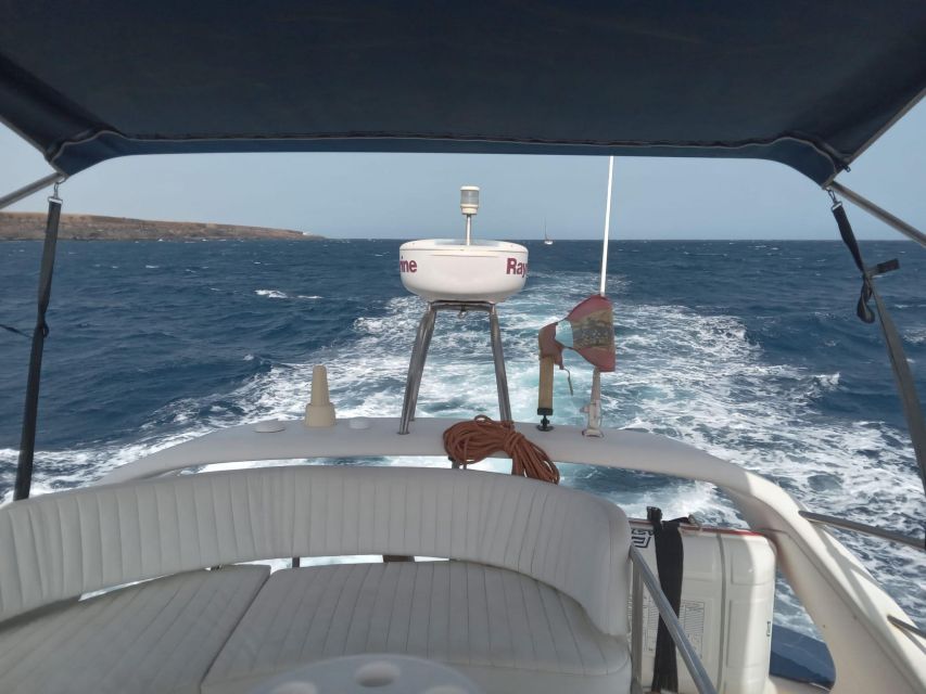 Tenerife south: safari with luxury boat , animals encounters - Who will enjoy this outing most