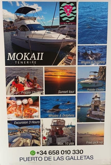 Tenerife south: safari with luxury boat , animals encounters - Three hours on a two-level boat