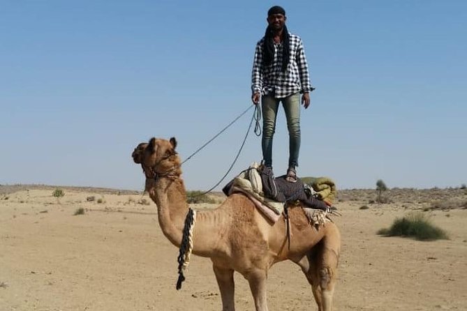 Thar Desert Camel Tour, Guide with over 25 years of experience! - Key points to know before booking