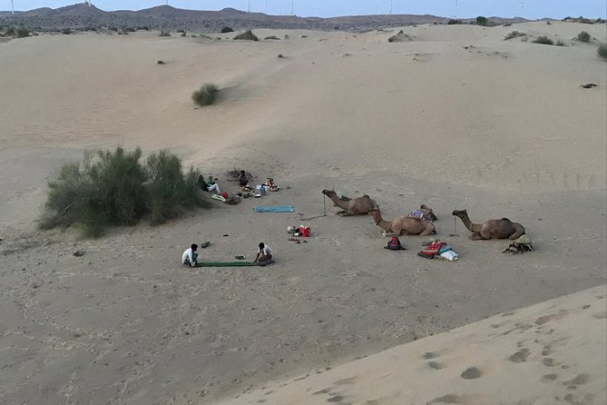 Thar Desert Camel Tour, Guide with over 25 years of experience! - Two hours by camel before sunset
