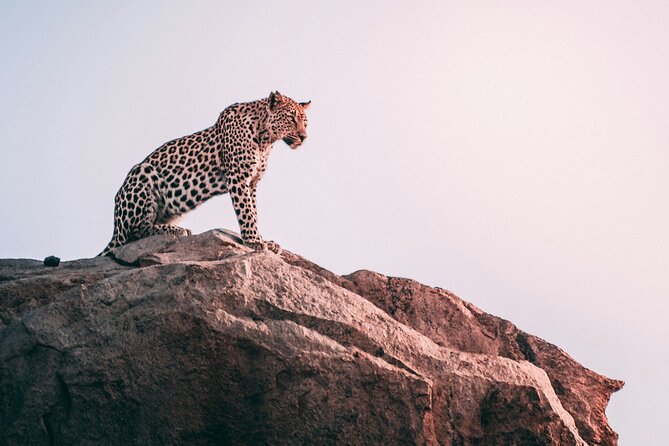 The Best 2-Days 1-night Tanzania Budget Group Joining Safari Tour - Tarangire National Park and its elephant country