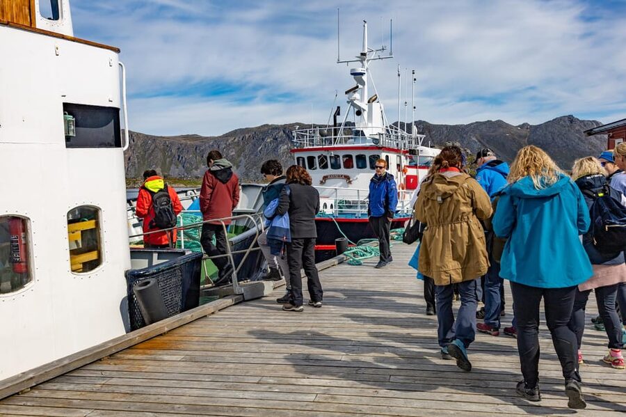 The Bird Safari Tour - From Honningsvåg to the fishing village of Gjesvær
