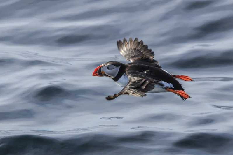 The Bird Safari Tour - Why the boat commentary matters