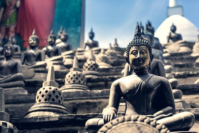 "THE ORIGINALS" Tuk Tuk Safari Colombo, the first and the best. - Key points to know before you book