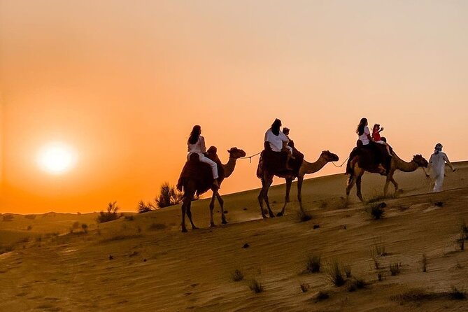 Thrilling 4-Hour Dune Bashing & Camel Ride Safari to Inland Sea - Why this four-hour safari works well in Doha