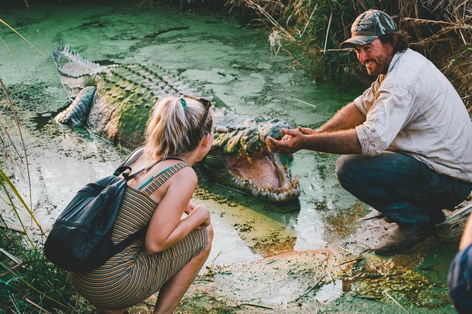 Top End Safari Camp Day Tour - Meeting Matt Wright’s rescued crocodiles