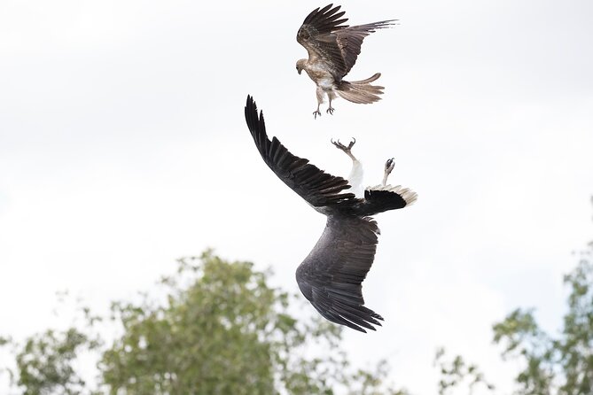 Top End Safari Camp Day Tour - Guides, group size, and the feel of the day