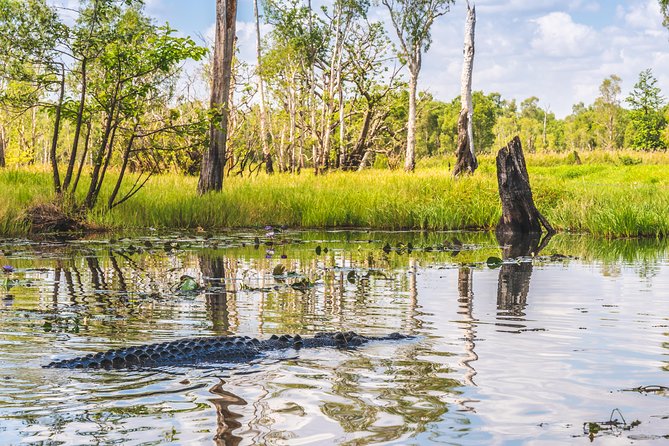Top End Safari Camp Overnight Tour - A camp night with dinner, stars, and a cooked breakfast