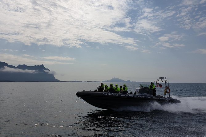 Trollfjord and Sea Eagle Safari Tour from Svolvaer - Why this short Svolvaer trip works so well