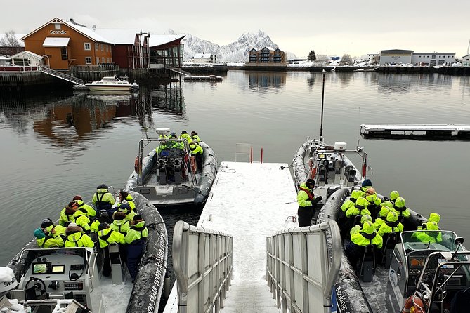 Trollfjord and Sea Eagle Safari Tour from Svolvaer - Weather, comfort, and the honest drawbacks