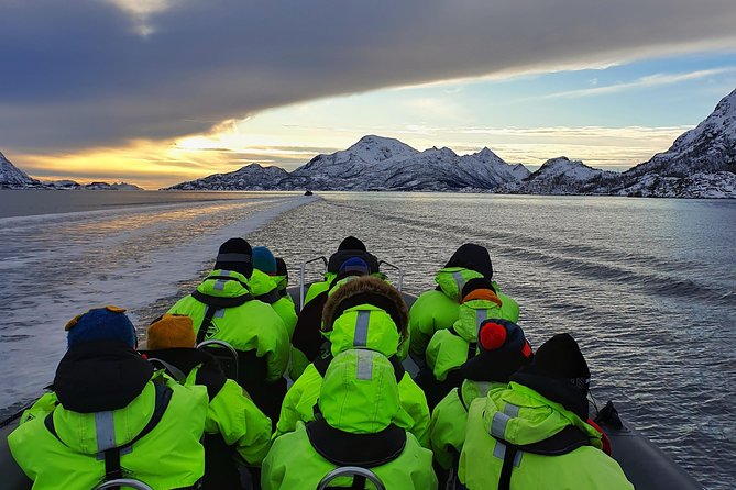 Trollfjord and Sea Eagle Safari Tour from Svolvaer - Leaving Svolvaer by RIB boat