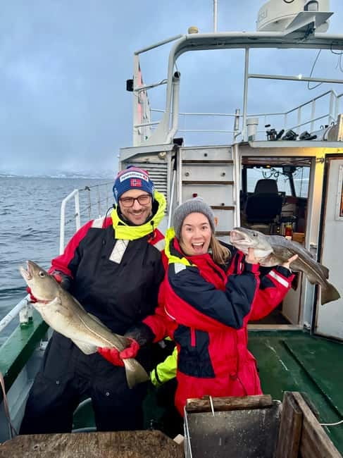 Tromsø: Fishing Sea Safari - Quick reasons to book this sea safari