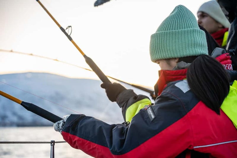 Tromsø: Fishing Sea Safari - Starting at Storgata 88 in central Tromsø