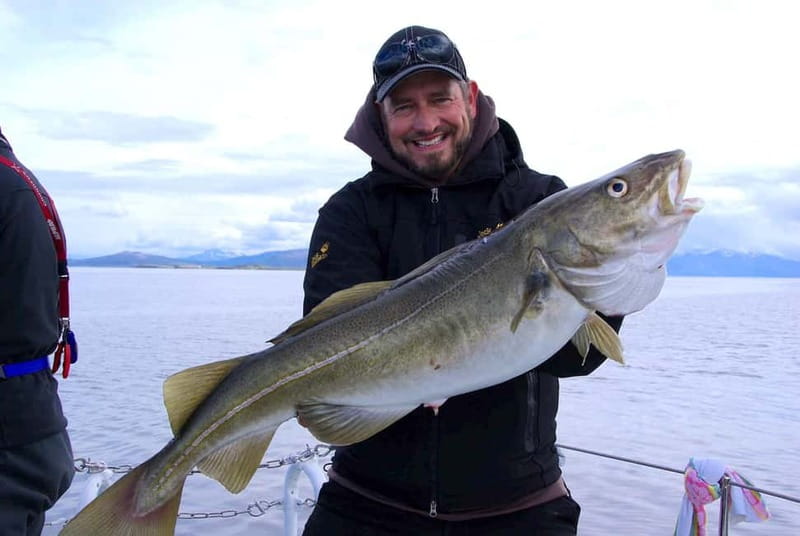 Tromsø: Fishing Sea Safari - Mountain views, seabirds, and possible Northern Lights