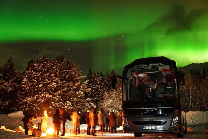 Tromsø: Northern Lights Safari with Expert Guides and Photos - A simple Arctic camp beside the bus
