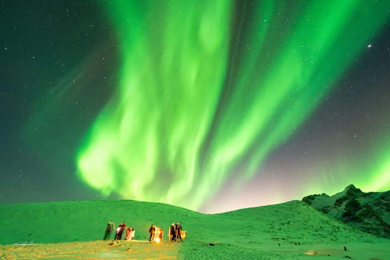 Tromsø: Northern Lights Safari with Expert Guides and Photos - Who should choose this safari?