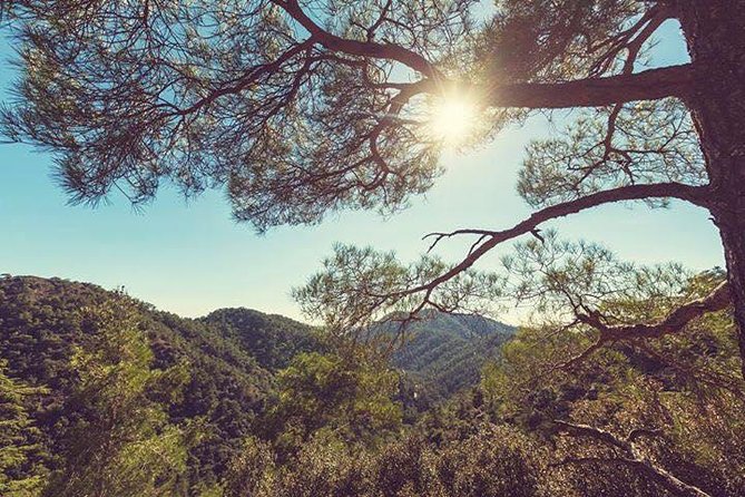 Troodos Jeep Safari from Protaras,Ayia napa & Larnaca - What the off-road part is really like