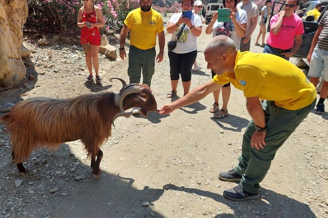 Trypiti beach and gorge Jeep Safari - Why this safari reaches the real south of Crete