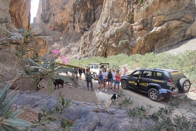 Trypiti beach and gorge Jeep Safari - The approach to Trypiti Gorge is the real adventure