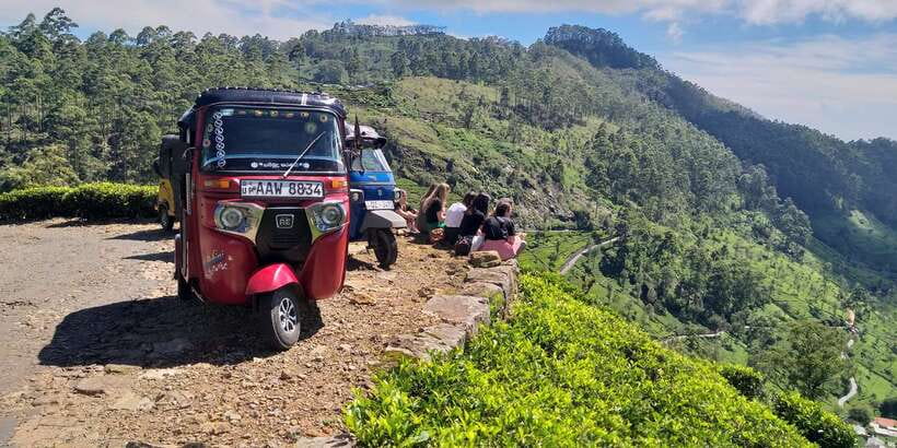 Tuk-Tuk Safari Liptons seat,Tea Fields Hike,TeaFactory Tour - Walking among the tea bushes