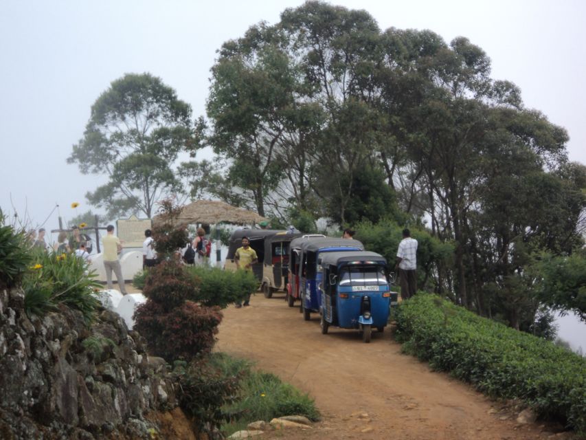 Tuk-Tuk Safari Liptons seat,Tea Fields Hike,TeaFactory Tour - What the $60 price includes