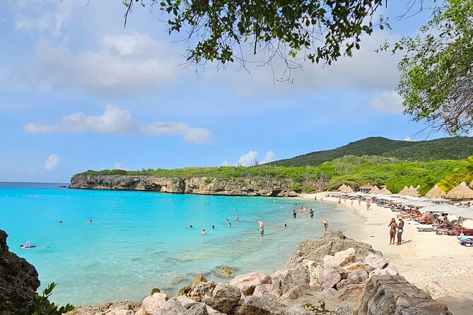 Turtle Swim at TurtleBay visit Flamingos & KnipBeach Safari Truck - Who will enjoy this Curaçao outing