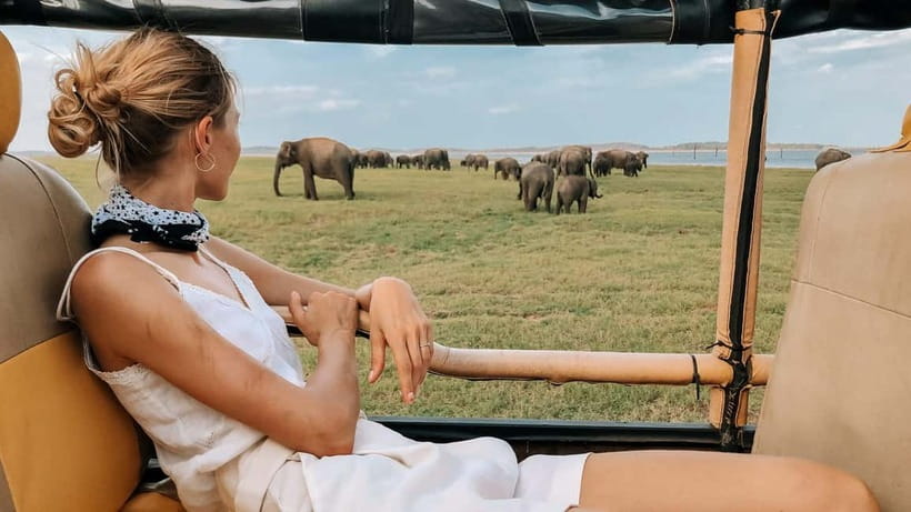 UDAWALAWA SAFARI TOUR from HAMBANTOTA PORT (Shore Excursion) - Practical booking advice for Hambantota