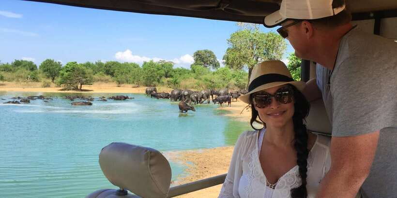 Udawalawe: National Park Safari & Elephant Transit Home Tour - Key points before you book