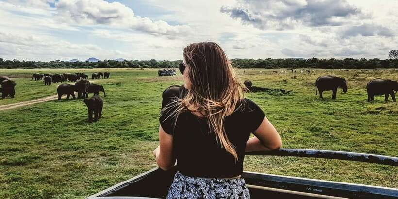 Udawalawe: National Park Safari & Elephant Transit Home Tour - Why Udawalawe is a strong elephant safari choice