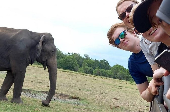 Udawalawe Safari Adventure - Who will enjoy this experience most