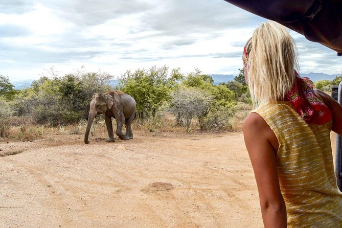 Udawalawe Safari DayTrip frm Bentota/Kalutara/Ahungalla/Hikkaduwa - Why Udawalawe makes a worthwhile day trip