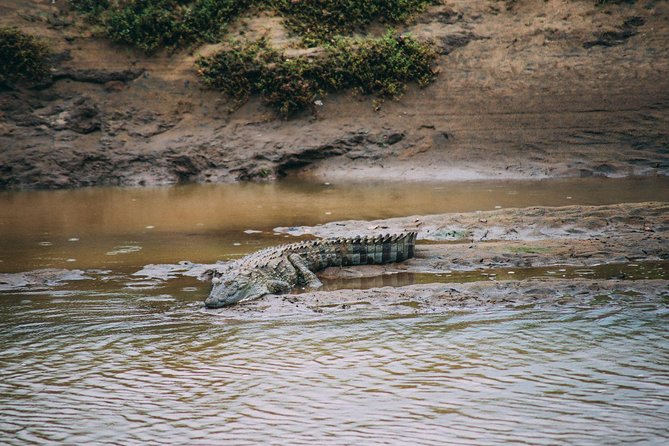Udawalawe Safari DayTrip frm Bentota/Kalutara/Ahungalla/Hikkaduwa - What the driver-guide adds to the day