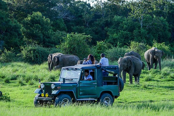 Udawalawe Safari DayTrip frm Bentota/Kalutara/Ahungalla/Hikkaduwa - Choosing among the 4am, 7am, and 10:30am departures